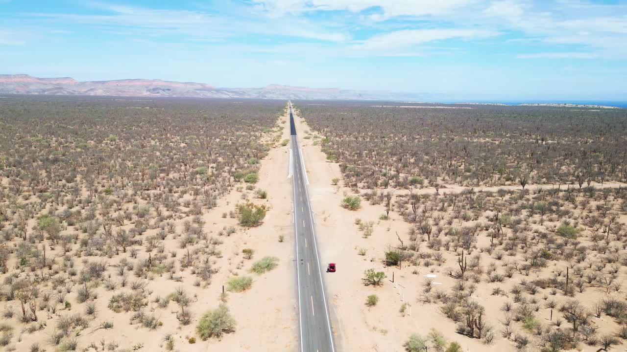 Endless desert road, La Paz Baja California Sur, blue sky and dry cactus landscape