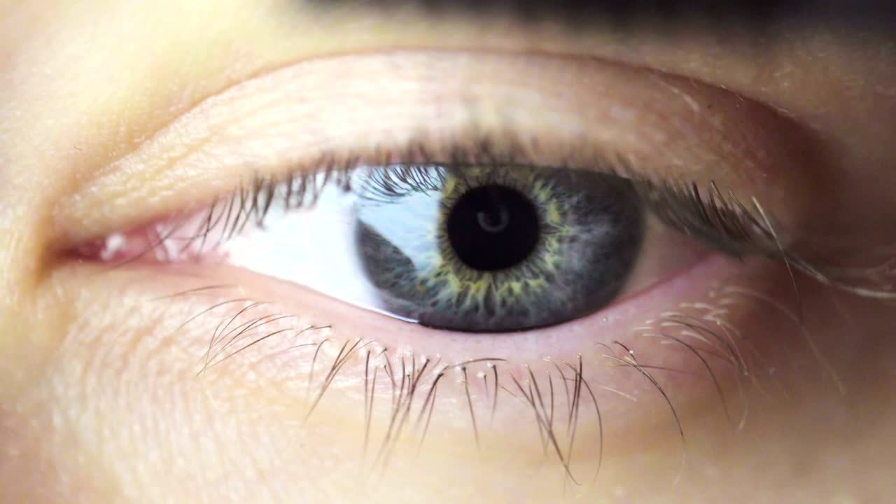 Dyeing Eyelashes. Macro View. Makeup Concept.