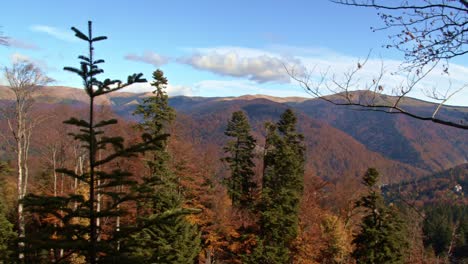 Peaking-through-the-treetops-in-the-forest-mountain