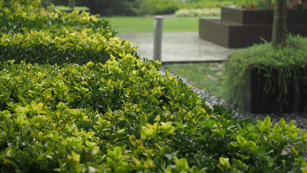 садовые ограждения, поцелованные дождем