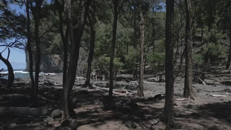 POV-camera-moves-through-open-trees-on-rocky-ocean-coast-of-Hawaii