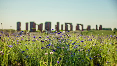 Wilde-Kornblumen-Wachsen-Im-Vordergrund-Mit-Dem-Smiltene-Stonehenge-Von-Lettland-Im-Verschwommenen-Hintergrund-Dieses-Geheimnisvollen-Zeitraffers