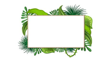 animated tropical leaves framing a blank space