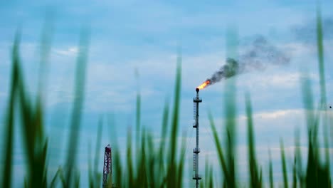 methane gas flare flame combustion natural oil production industry during day