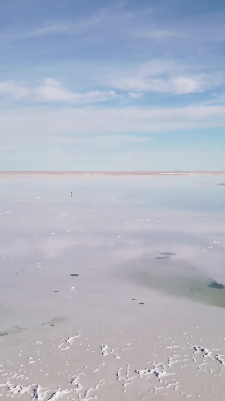 Vertical video: Shifting camera revealing ridges and pools on salt flat with green pool and pole