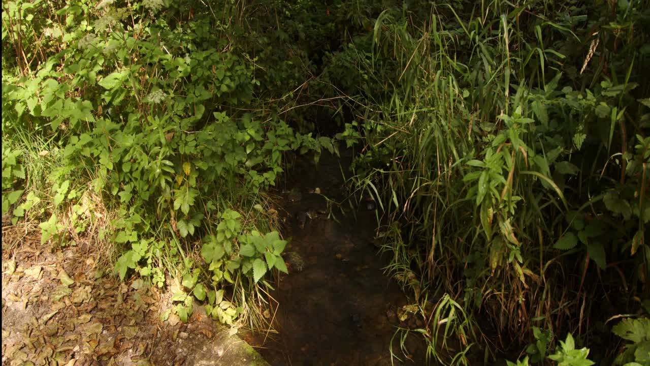 una imagen de un arroyo que desemboca en scow brook ford en la presa de agua de carsington.