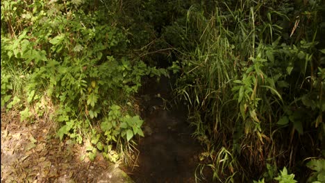 Aufnahme-Eines-Baches,-Der-Am-Wasserdamm-Von-Carsington-In-Den-Scow-Brook-Ford-Fließt