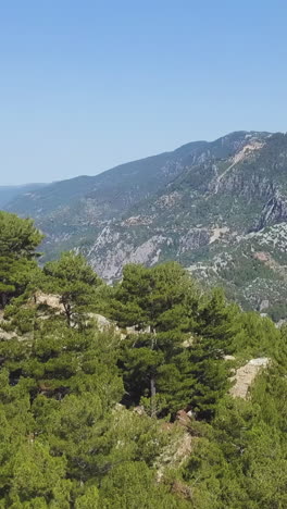 mountain valley landscape