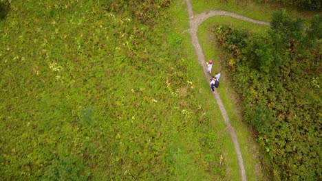 hiking trail surrounded by grass in the swiss mountains