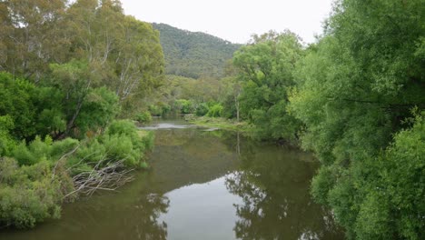 view downstream of the mitta mitta river at the township of mitta mitta, north-east victoria, australia