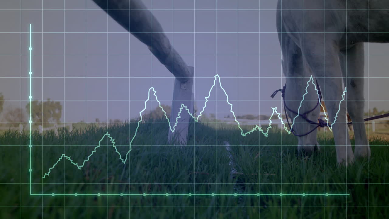 White horse grazing on green pasture while neon graph lines streaming over translucent grid overlay