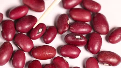 close-up video of red beans being moved by a toothpick on a white surface, highlighting texture and movement