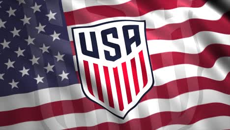 us women's national soccer team logo on usa flag