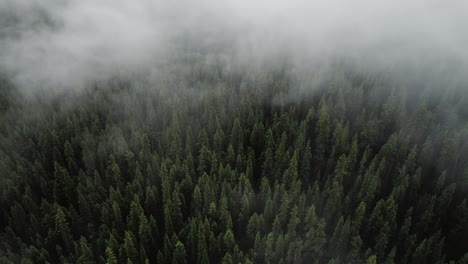 Lapso-De-Tiempo-De-Nubes-Flotando-Sobre-árboles-En-Una-Montaña