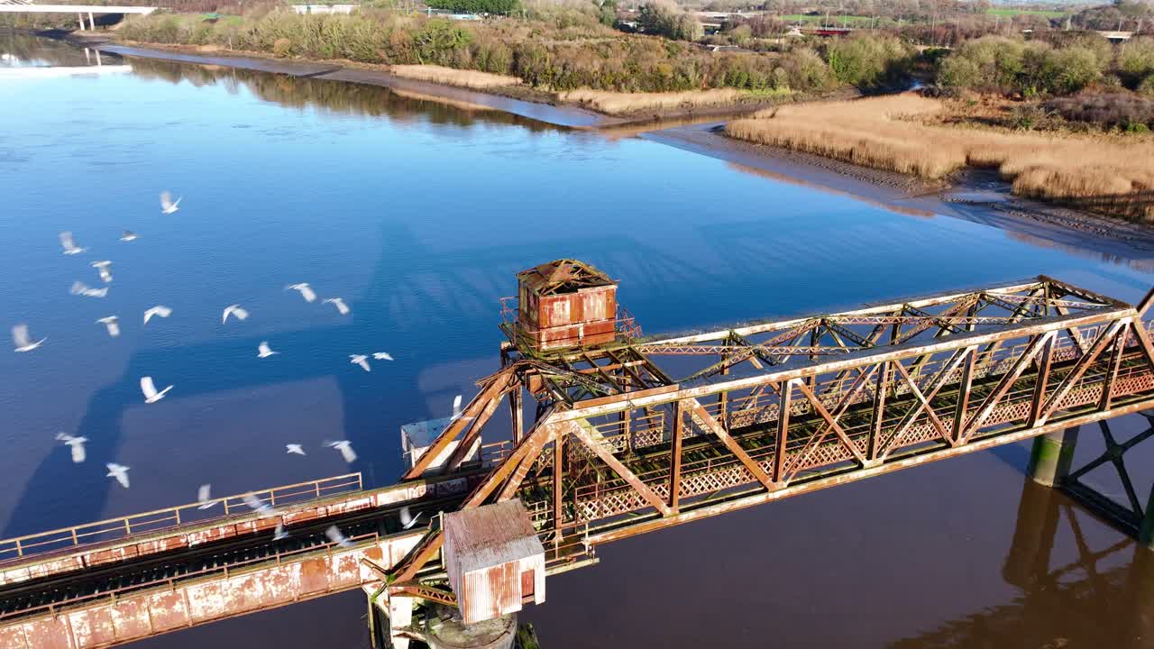 Epic Locations Ireland birds flying over disused railway bridge over the river Suir Waterford