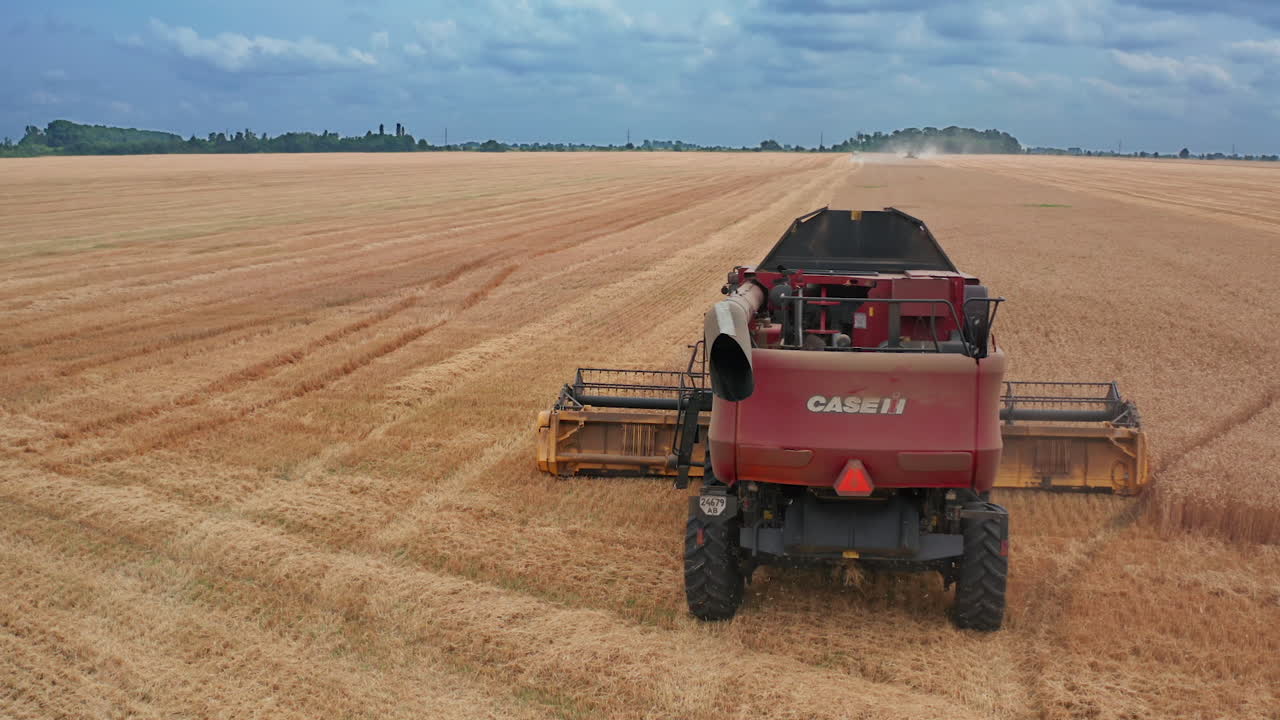 Combine Harvester Harvesting Wheat Field