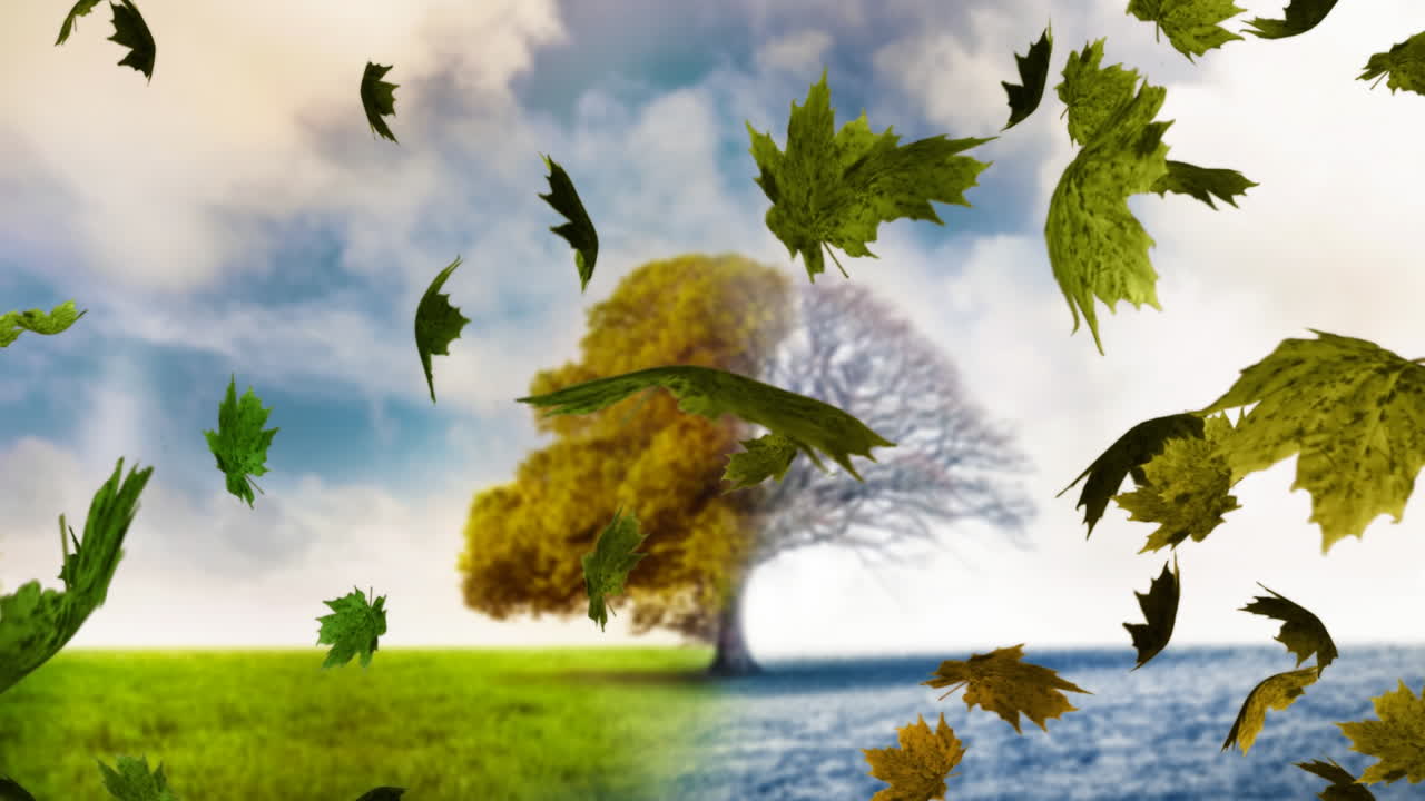 Animation de feuilles d'automne tombant sur un arbre d'automne et d'hiver en arrière-plan