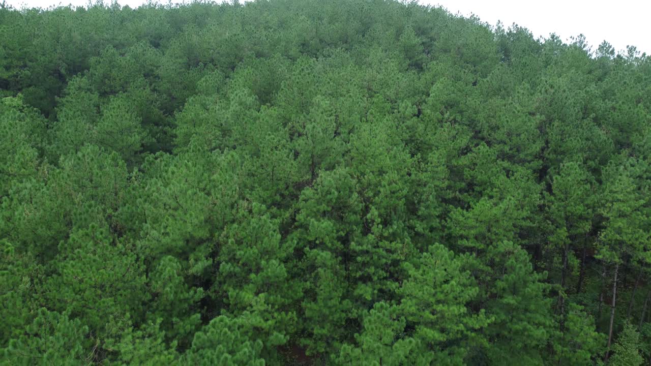 Drone video of Meghalaya's natural beauty.