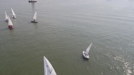 sailing competition on a river