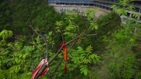 red wooden charm with a chinese character hanging from a tree branch