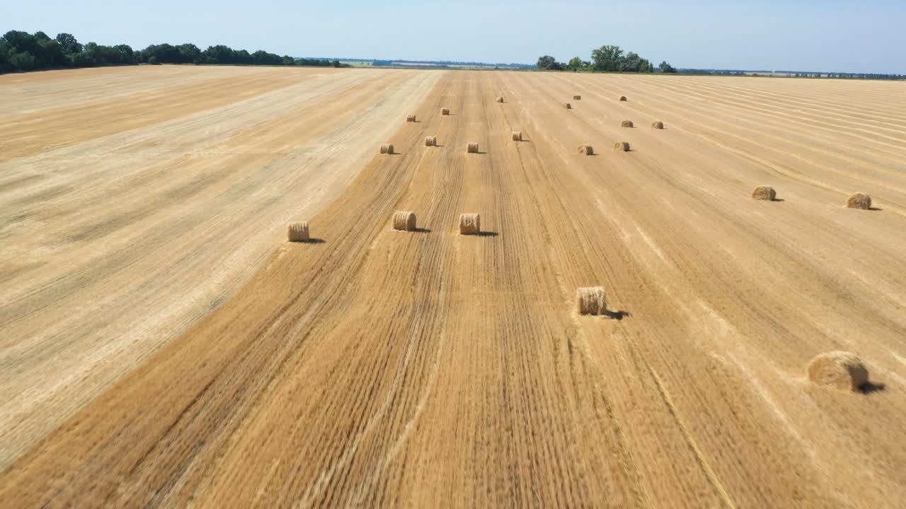 круглые балы на поле, взгляд с воздуха