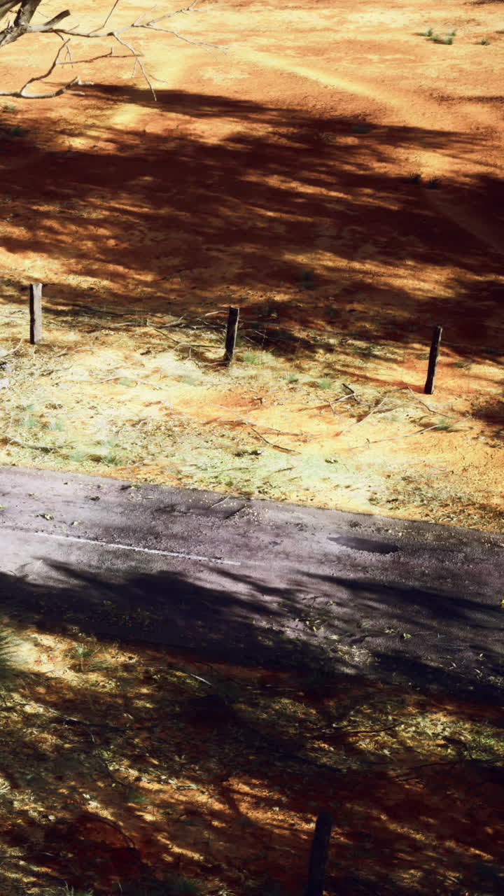 Rustic dirt road with wooden posts and shadows during bright sunlight
