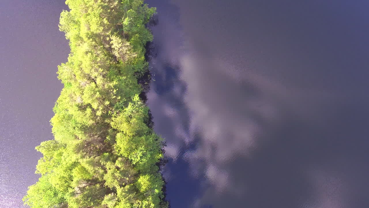 vista aérea de un pequeño cabo en un lago forestal, cámara hacia abajo