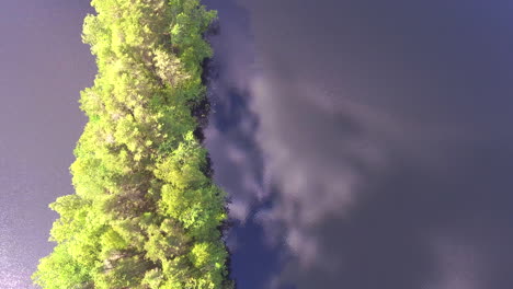 Vista-Aérea-De-Un-Pequeño-Cabo-En-Un-Lago-Forestal,-Cámara-Hacia-Abajo