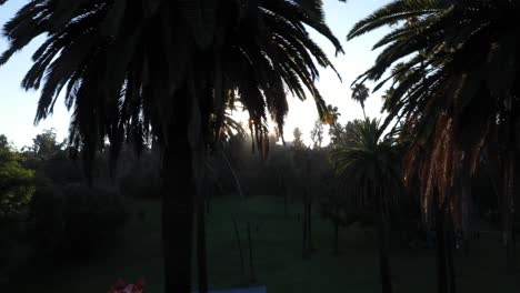 Drone-shot-of-palm-trees-panning-right-during-golden-sunset-hour-with-sun-flare-peeking-and-clear-blue-skies-in-Los-Angeles,-California-park-picnic-area-with-a-small-roof-view-of-a-pink-bounce-house