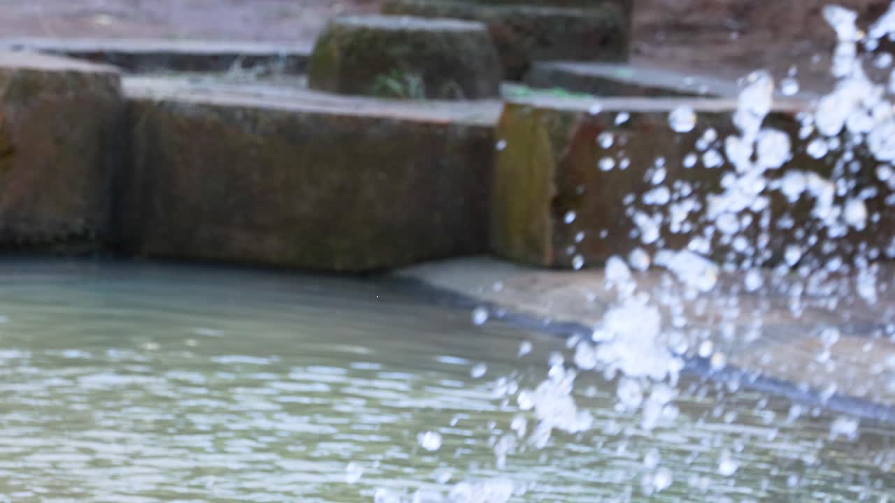 동물원 의 분수 에 물 이 어지고 있다