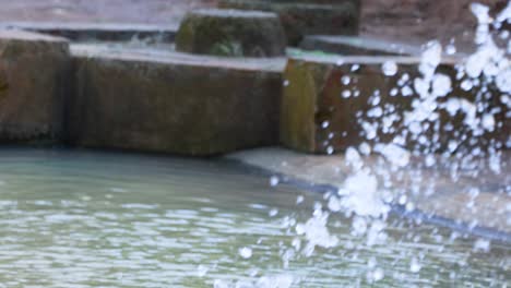 agua salpicando en una fuente en el zoológico