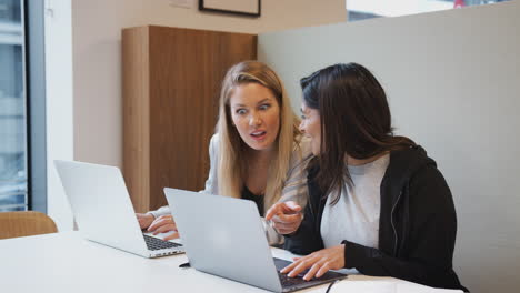 two young businesswomen with laptops working side by side in modern open plan workspace