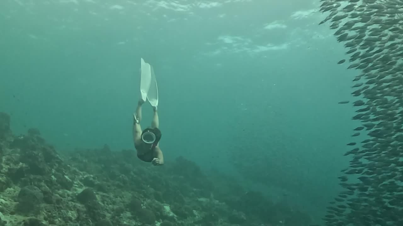 빨간색 비키니와 색 빈티지 다이빙 마스크를 입은 젊은 아시아 여성이 수백만 마리의 사르딘을 통해 다이빙합니다.