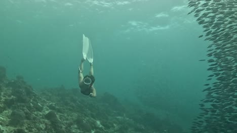 young asian woman with red bikini and white vintage dive mask skin diving through millions of sardines