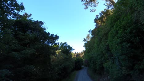 Conduciendo-Por-Una-Carretera-Con-Curvas-En-La-Hermosa-Campiña-De-Nueva-Zelanda