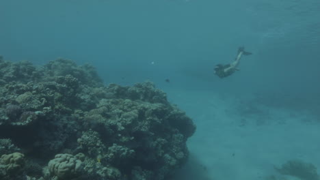 Chica-Buceadora-Libre-Bajo-El-Agua-En-El-Mar-Rojo-Rodeada-De-Corales-Y-Vida-Marina-Con-La-Magia-De-La-Luz-Del-Sol-Filmada-En-Un-Perfil-De-Color-Estilo-Cine-Crudo