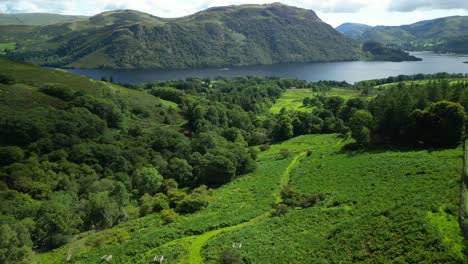 lush green countryside with wooded gulley dark lake and forested mountains on bright summer day