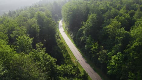 views of an incredible hidden road through the middle of a german forest where a vehicle is crossing it in the town of weibersbrunn