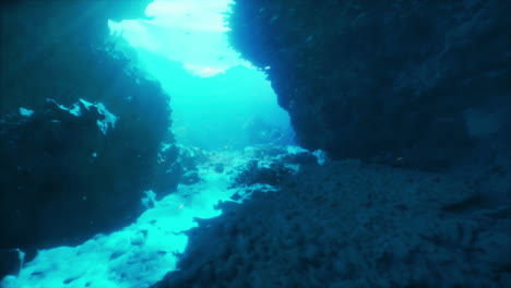 underwater cave with sunbeams and fish