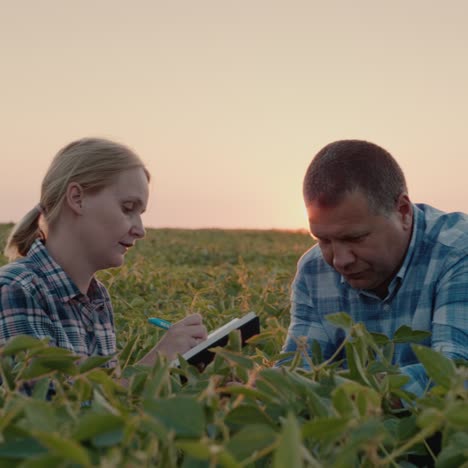 a couple of farmers work in a field