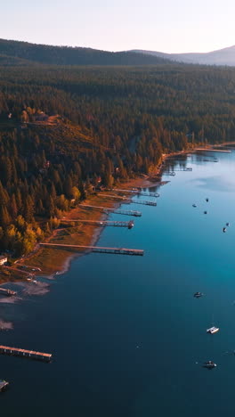 numerous boat piers set on the lake waterfront. lots of yachts and boats on water surface. beautiful landscape covered with pine tree forest. vertical video