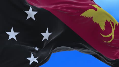 seamless loop of papua new guinea flag.