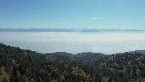 Eine-Drohne-Fliegt-über-Einen-Alpenwald-Mit-Blick-Auf-Einen-Großen-See-Und-Im-Fernen-Dunst-Ein-Majestätischer-Blick-Auf-Das-Massiv-Des-Mont-Blanc-Und-Die-Hohen-Gipfel-Der-Schweizer-Und-Französischen-Alpen