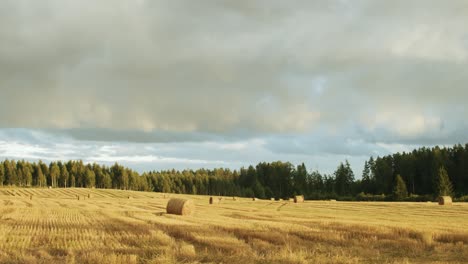 hay rolls in field time lapse in sunny autumn day