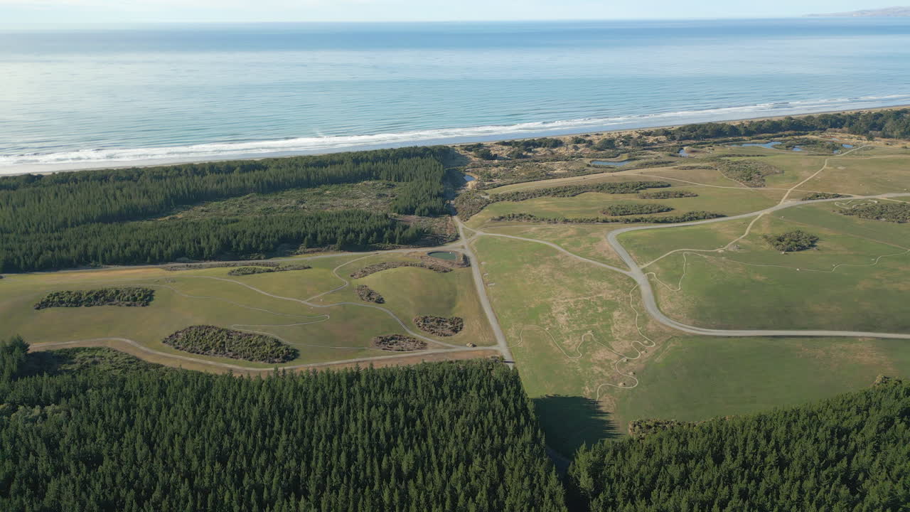 espacio verde y bosque de pinos cerca de la playa en canterbury, nueva zelanda