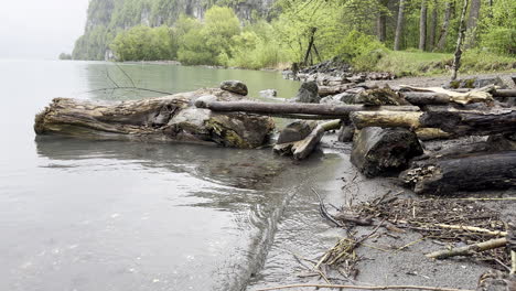 static view of lakeshore iwth a wooden beams in a mountain landscape