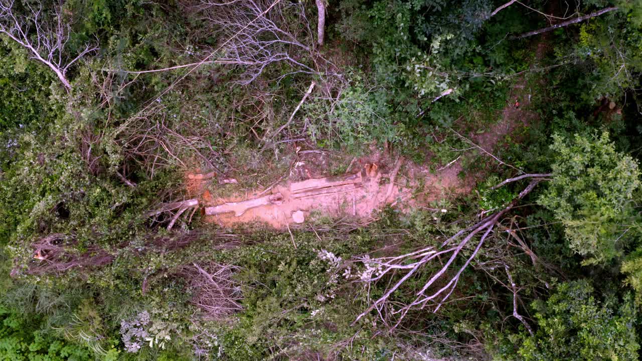 Aerial, Amazonian climate impact, forest clearing, nature destruction