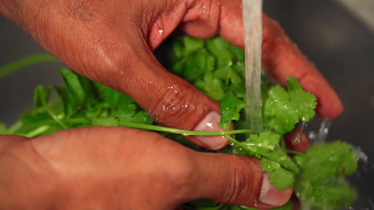 manos limpiando cilantro fresco en un fregadero de cocina en cámara lenta