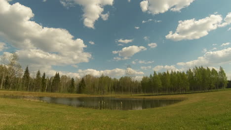 hermoso timelapse de verano