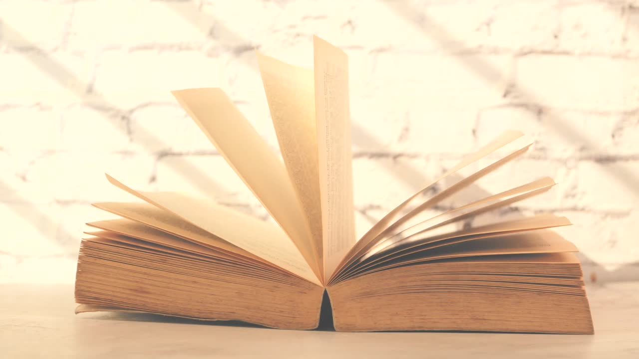 libro abierto a la luz del sol